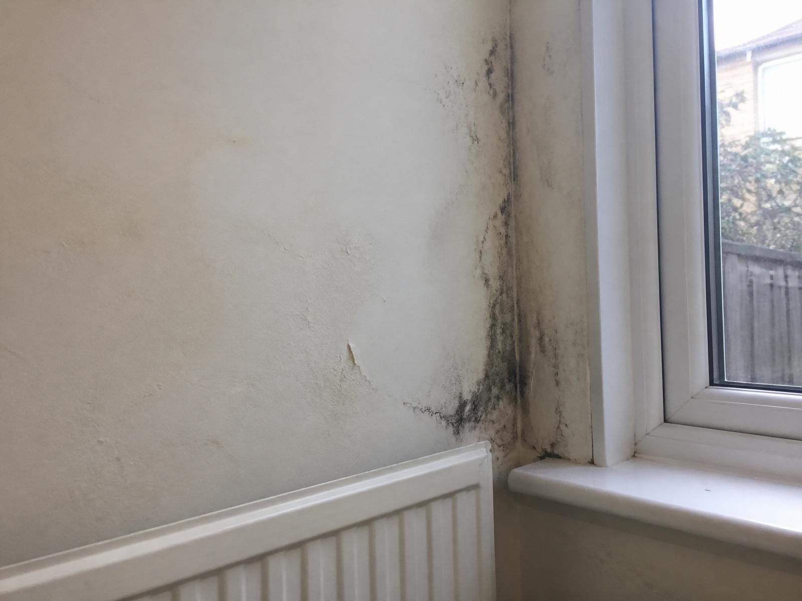 Severe black mould around a window frame in a UK council flat — a common housing disrepair issue